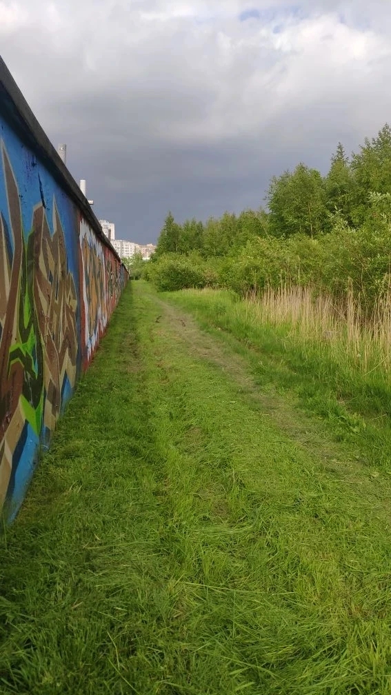 Фото к новости