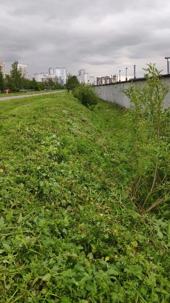 Фото к новости
