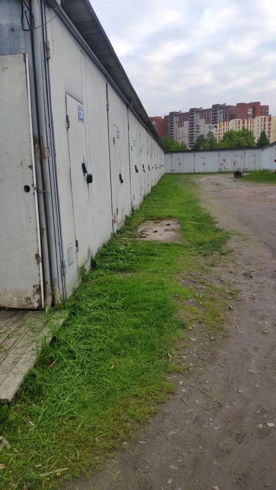 Фото к новости