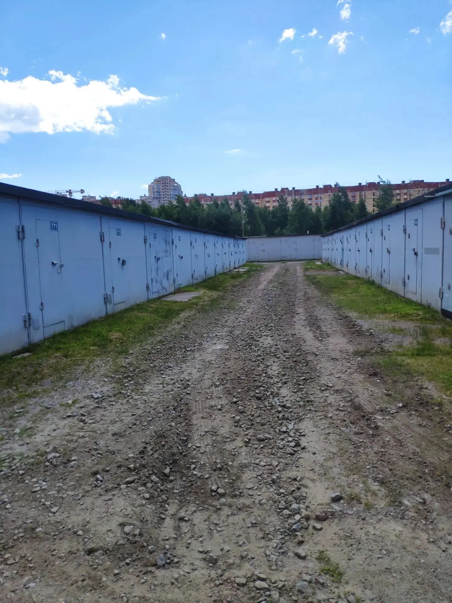 Фото к новости